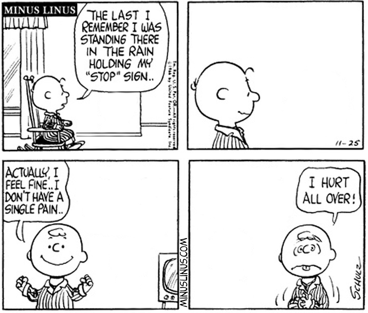 Make Up Your Mind, Charlie Brown!