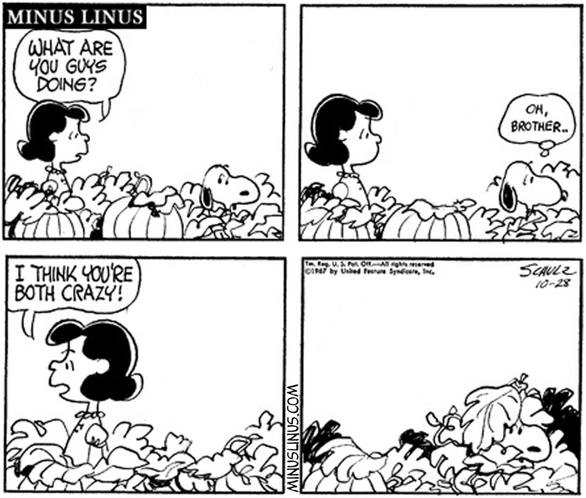 Snoopy might be crazy. I won’t speak for the pumpkin.