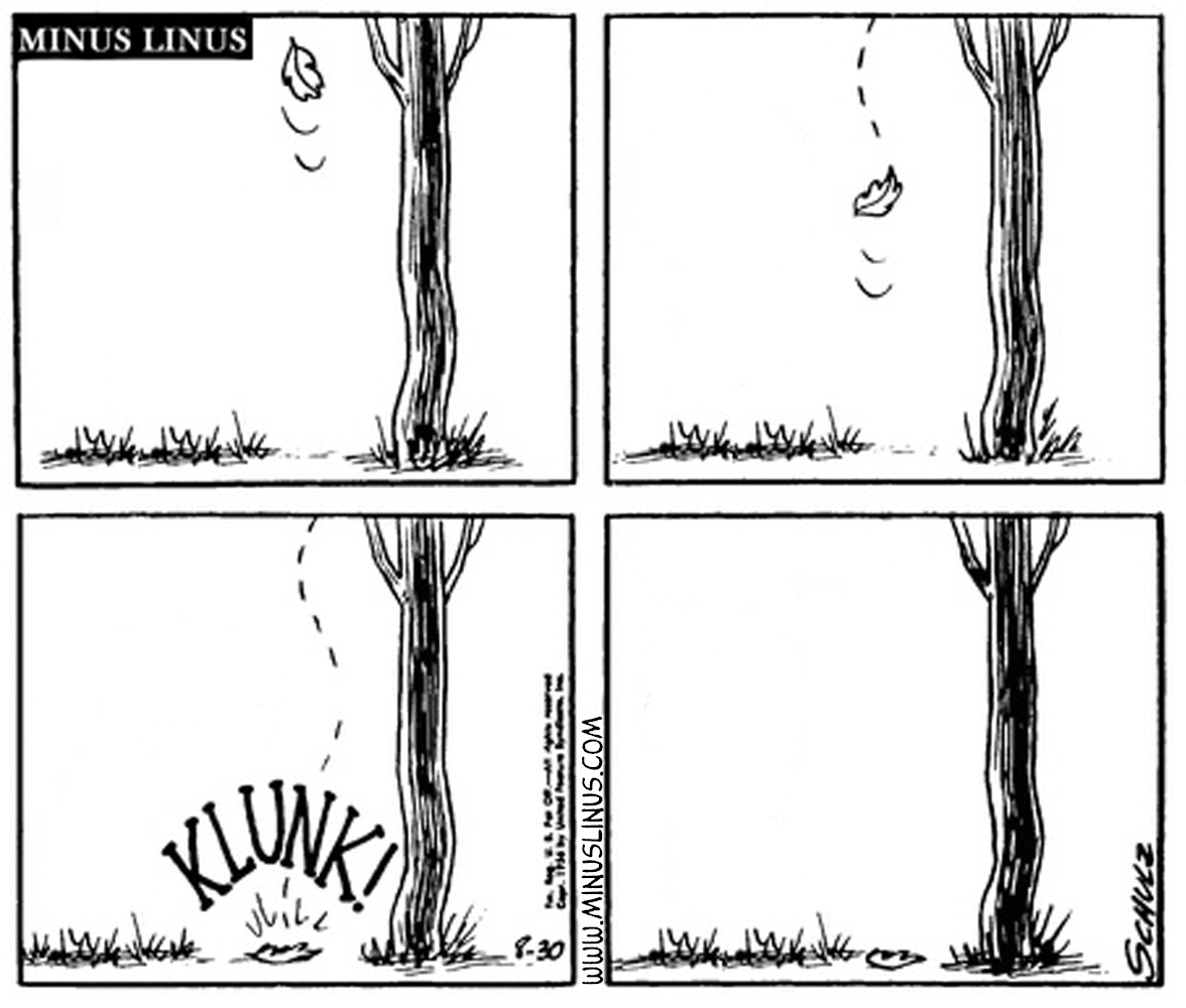 If A Leaf Falls…