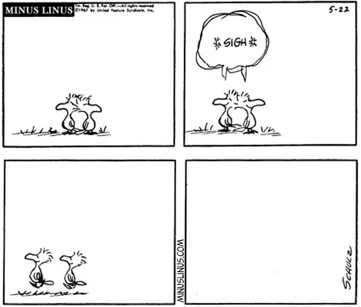 Nice birds… pretty birds…