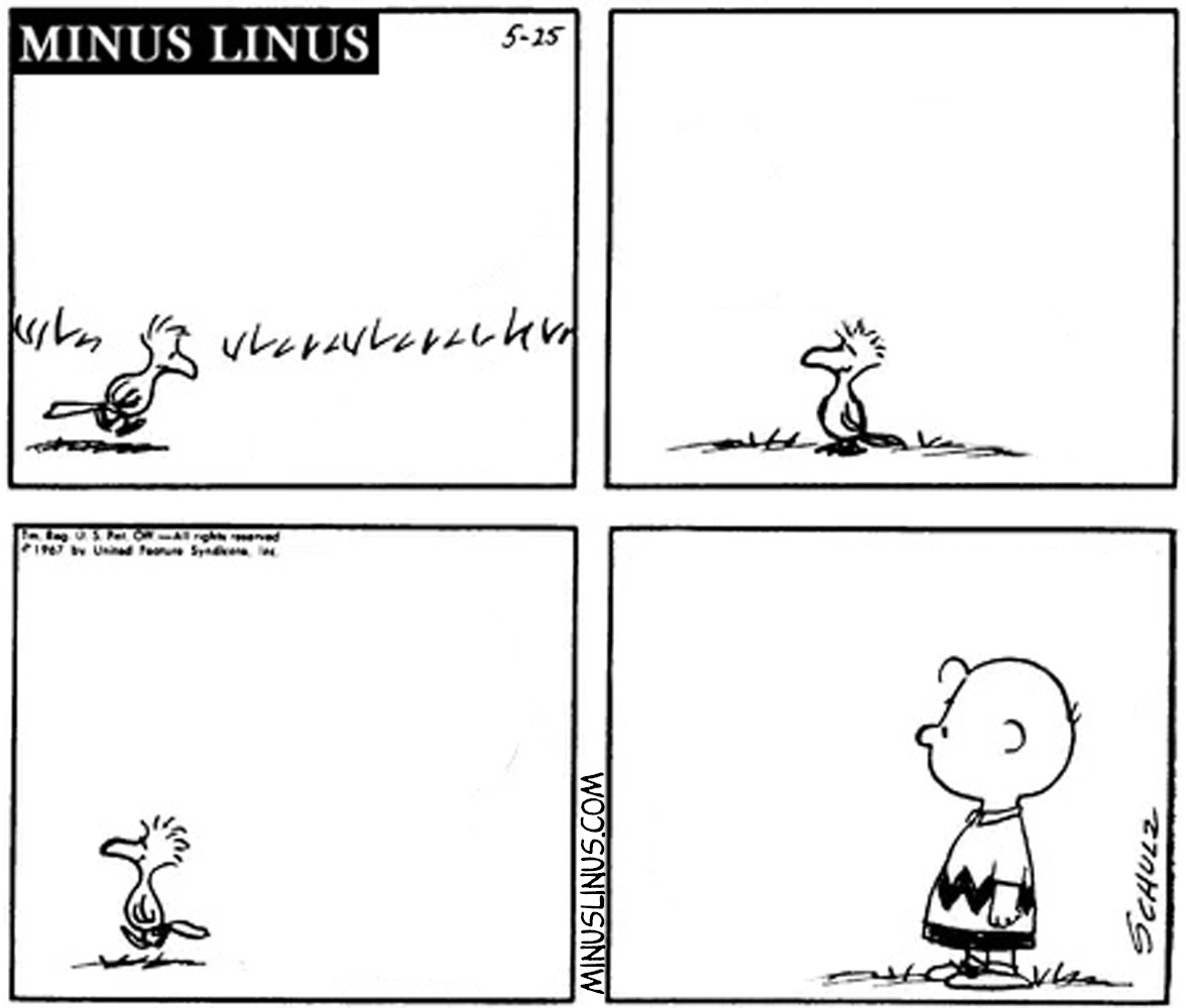 Watch the birdie, Charlie Brown!